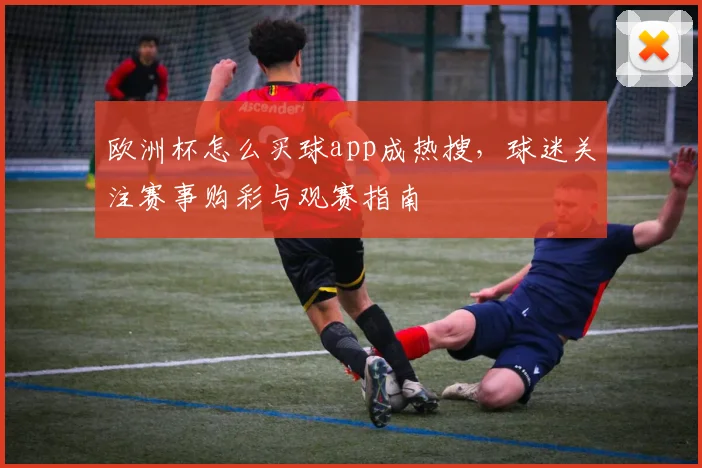 欧洲杯怎么买球app成热搜,球迷关注赛事购彩与观赛指南