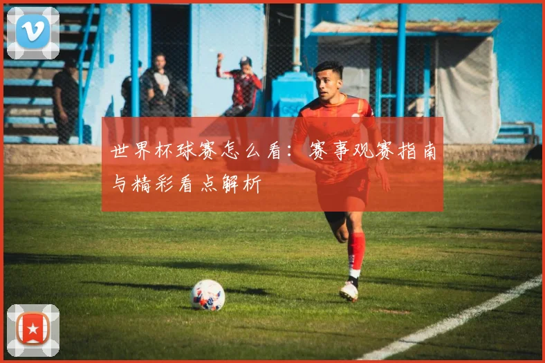 世界杯球赛怎么看：赛事观赛指南与精彩看点解析