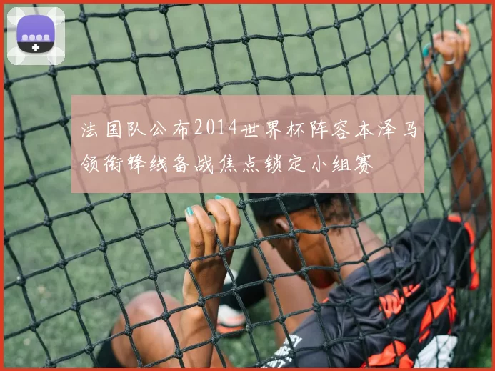 法国队公布2014世界杯阵容本泽马领衔锋线备战焦点锁定小组赛