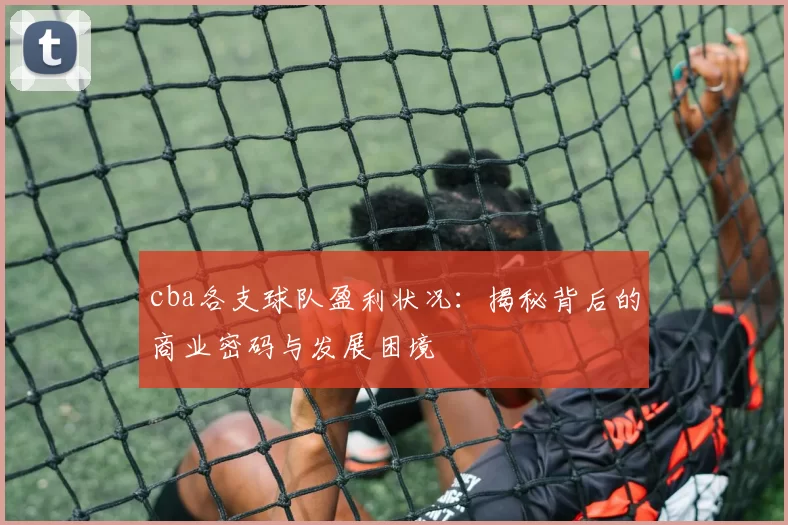 cba各支球队盈利状况：揭秘背后的商业密码与发展困境