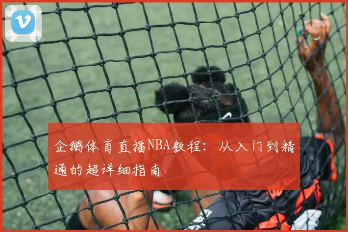 企鹅体育直播NBA教程：从入门到精通的超详细指南