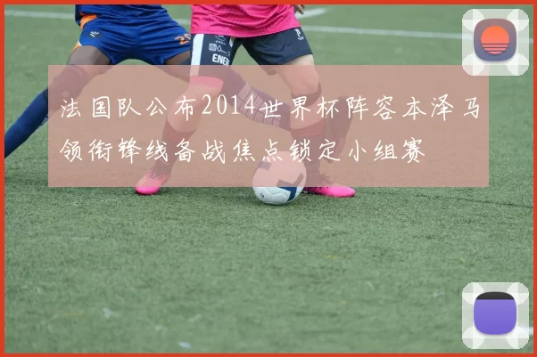 法国队公布2014世界杯阵容本泽马领衔锋线备战焦点锁定小组赛